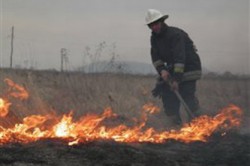 трава