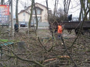 громадські 2
