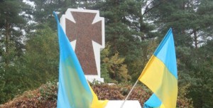 воля жовт