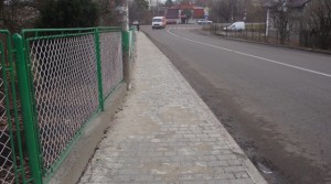 DSC08250 - Копія