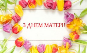 vesna-beautiful-fresh-colorful-wood-tiulpany-tulips-bright-2-570x350