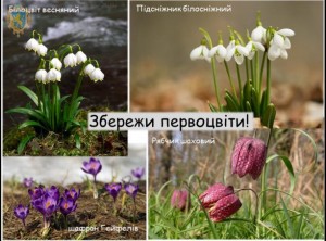 __1549637978_613x453.96418199419_3_0