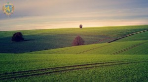 fields_3799279_960_720_1550491962_613x344.8125_3_0