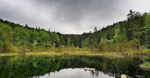 _1593083561_613x321.74720812183_3_0_nw