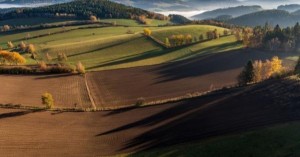 _1595491948_601x315_3_0_nw